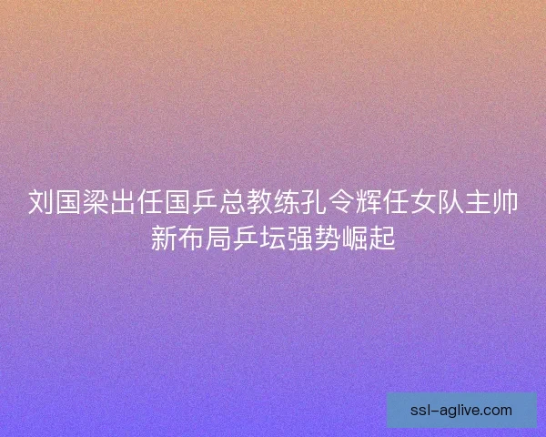 刘国梁出任国乒总教练孔令辉任女队主帅新布局乒坛强势崛起
