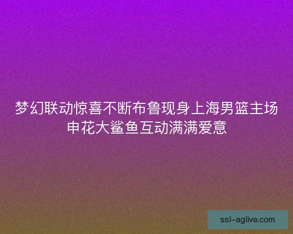梦幻联动惊喜不断布鲁现身上海男篮主场申花大鲨鱼互动满满爱意