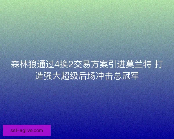 森林狼通过4换2交易方案引进莫兰特 打造强大超级后场冲击总冠军 森林狼通过4换2交易方案引进莫兰特 打造强大超级后场冲击总冠军