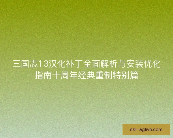三国志13汉化补丁全面解析与安装优化指南十周年经典重制特别篇